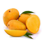 Alphono Mango