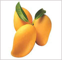 Alphono Mango