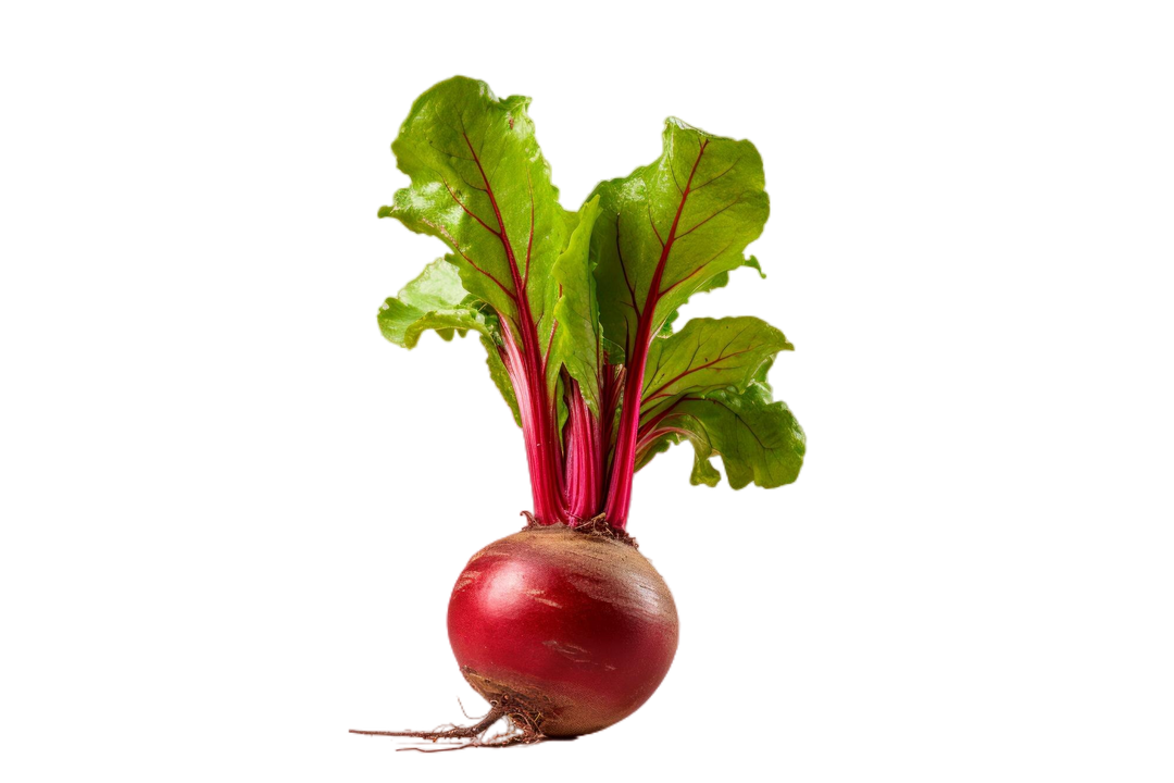 Beetroot