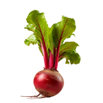 Beetroot