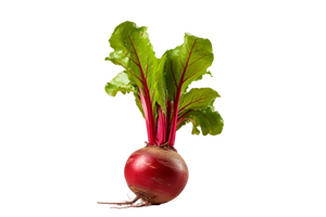 Beetroot