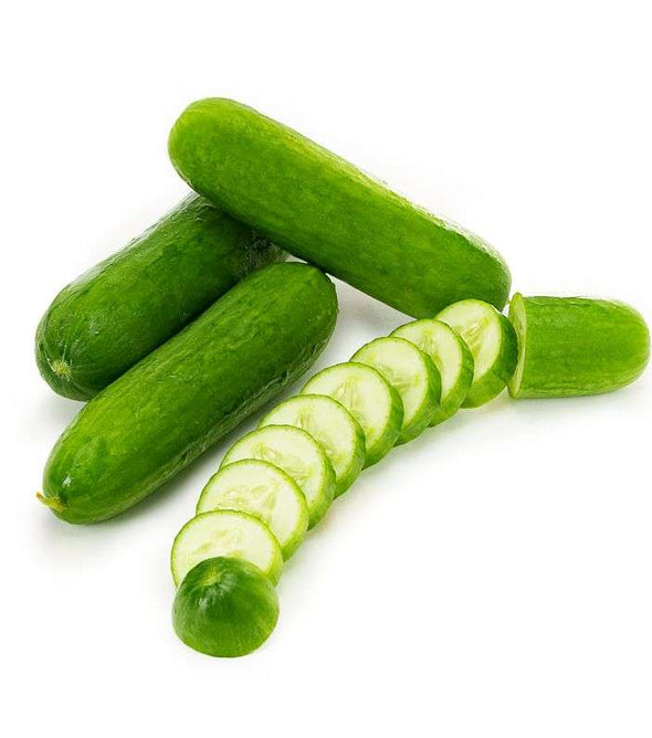 Cucumber Seedless