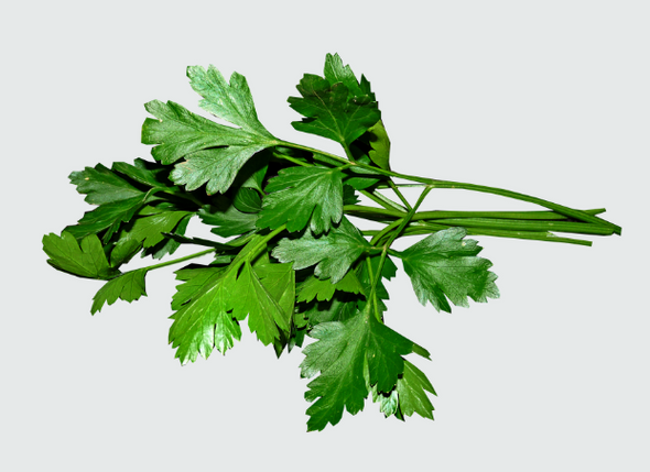 Parsley