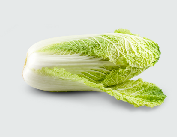 Napa Cabbage (Chinese Cabbage)