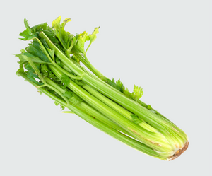 Celery