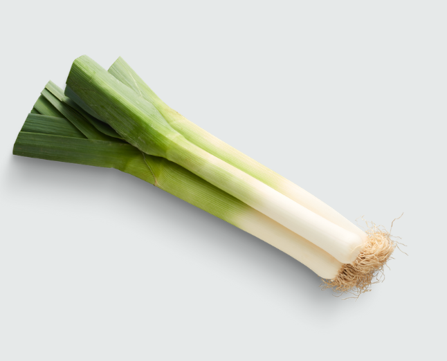 Leek