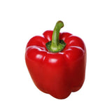 Capsicum - Red / Red Pepper