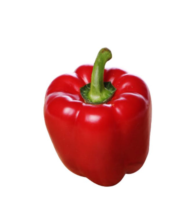 Capsicum - Red / Red Pepper