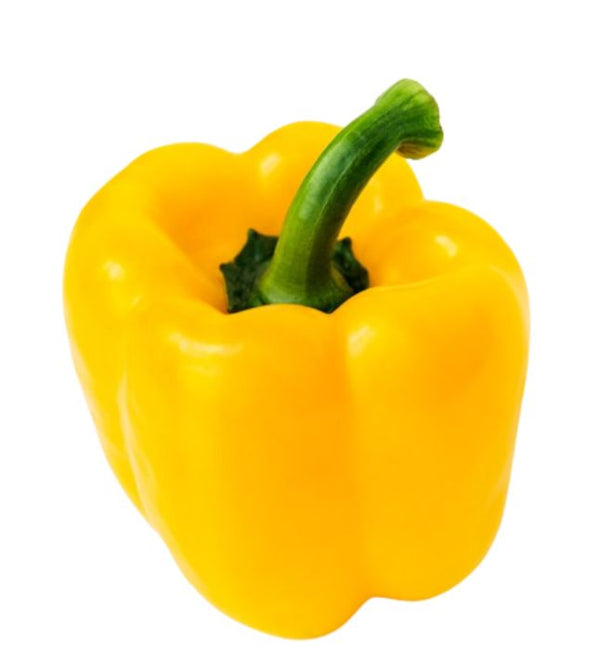 Capsicum - Yellow / Yellow Pepper