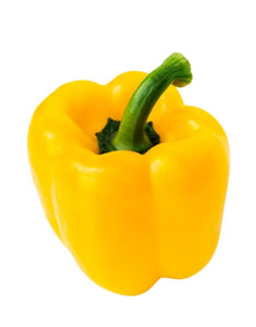 Capsicum - Yellow / Yellow Pepper