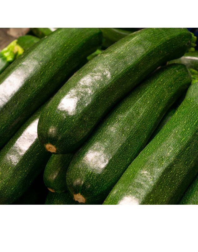 Zucchini - Green