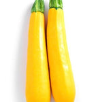 Zucchini - Yellow