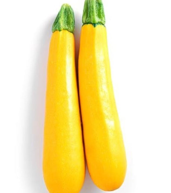 Zucchini - Yellow