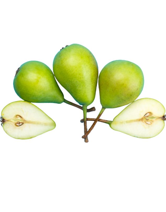 Fresh Pear - Imported