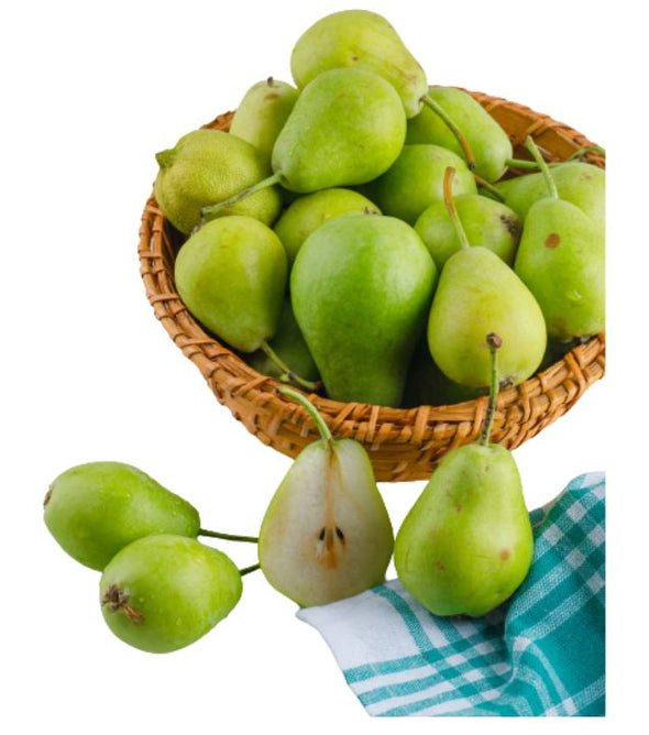 Fresh Pear - Imported