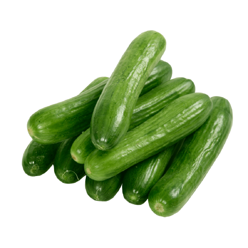 Cucumber Seedless