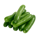 Cucumber Seedless